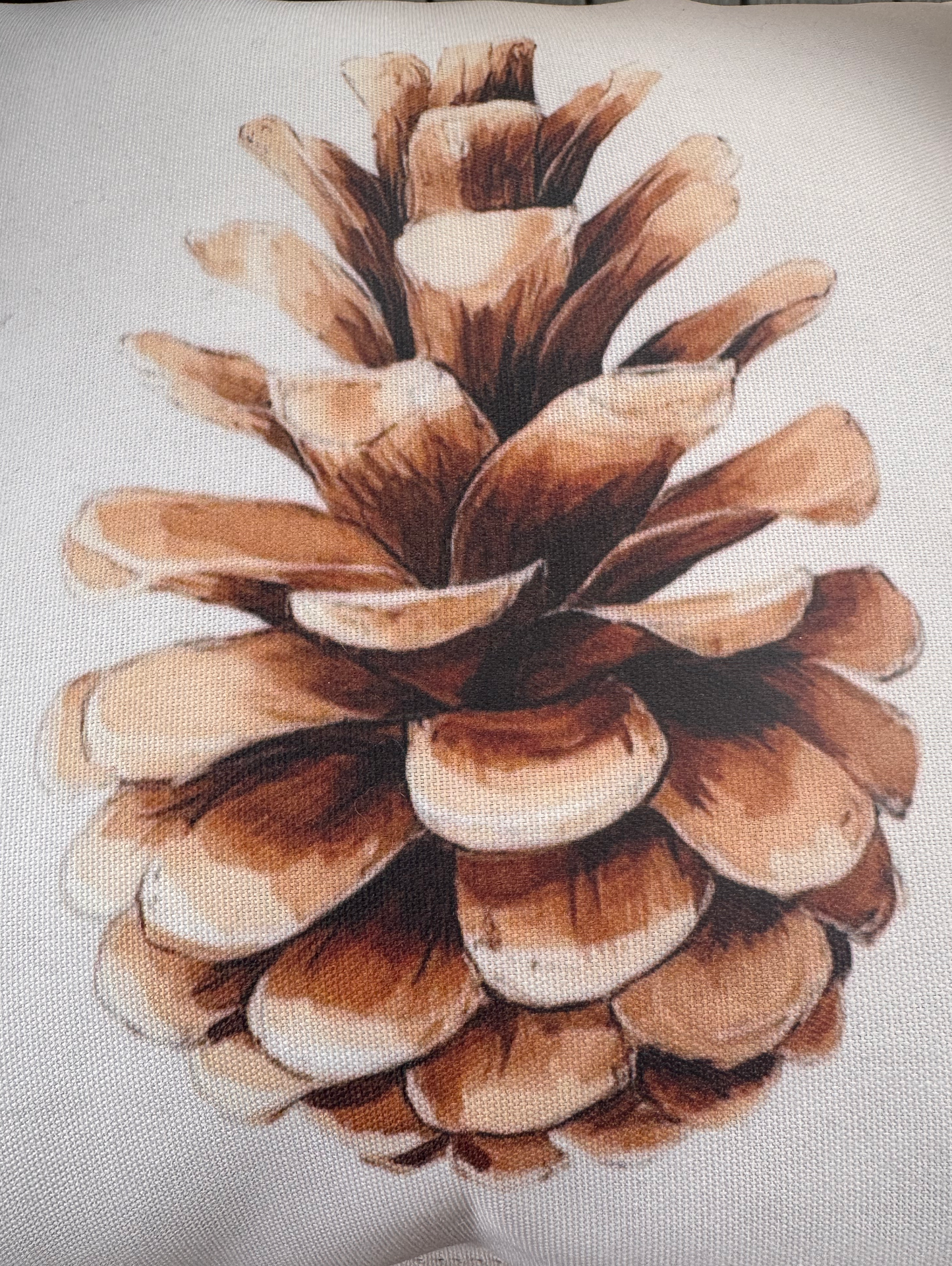Pinecone Outdoor Pillow