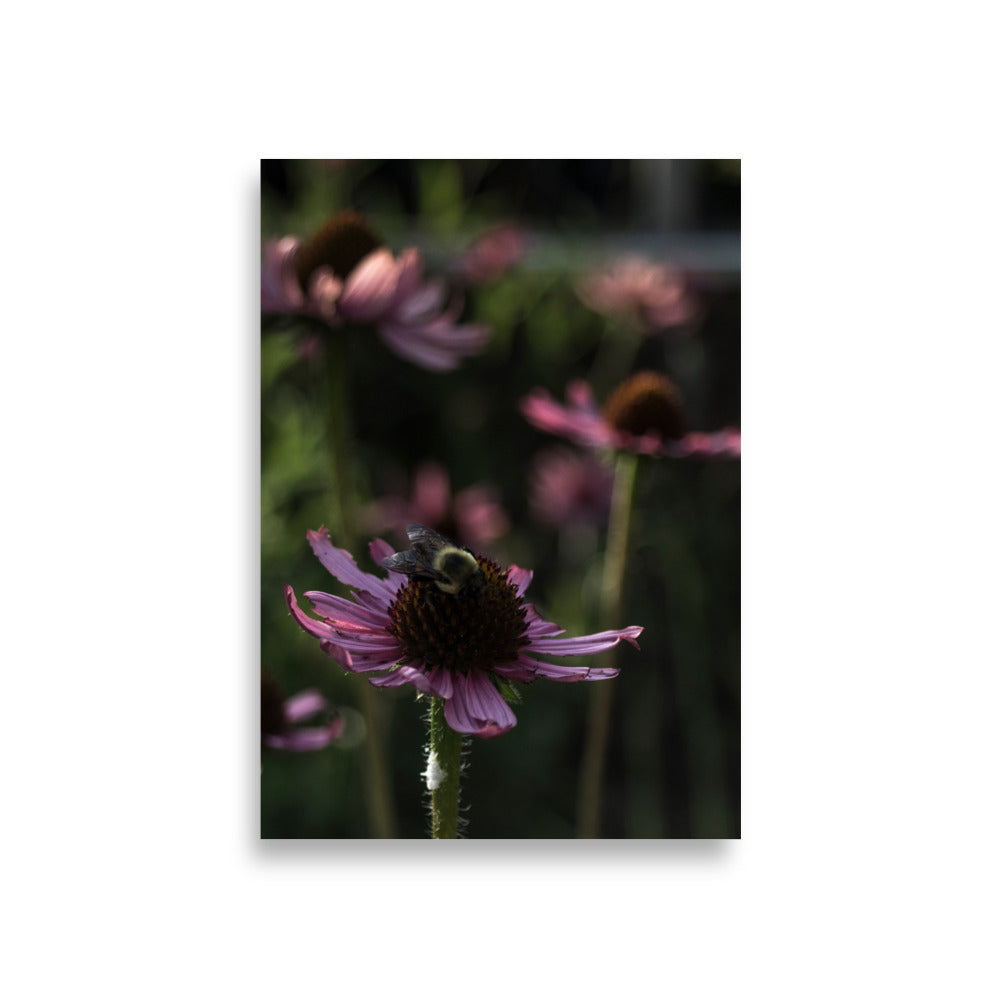 Wildflower Bumblebee